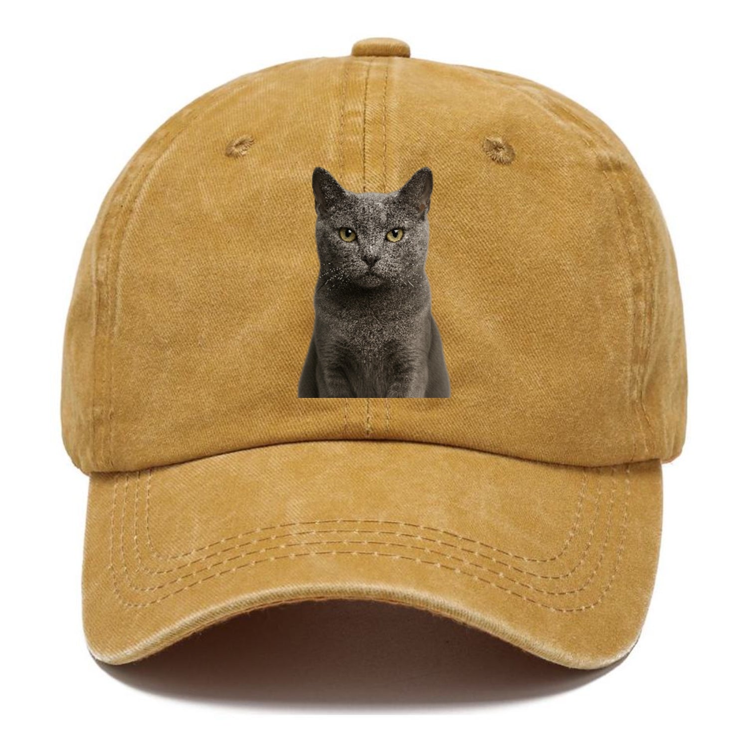 gray-cat-mysterious-charm Hat