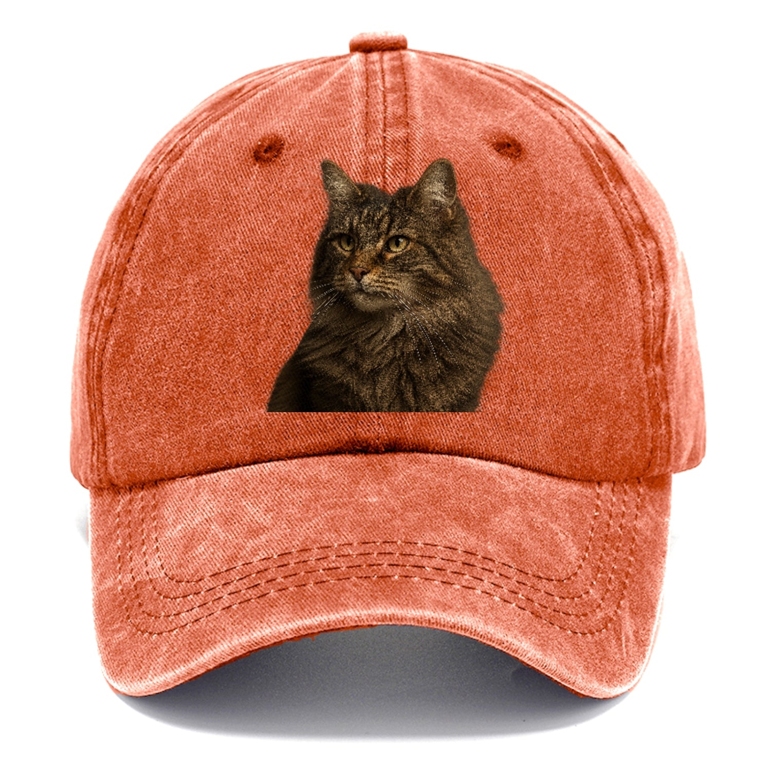 norwegian-forest-cat-wild-majesty Hat