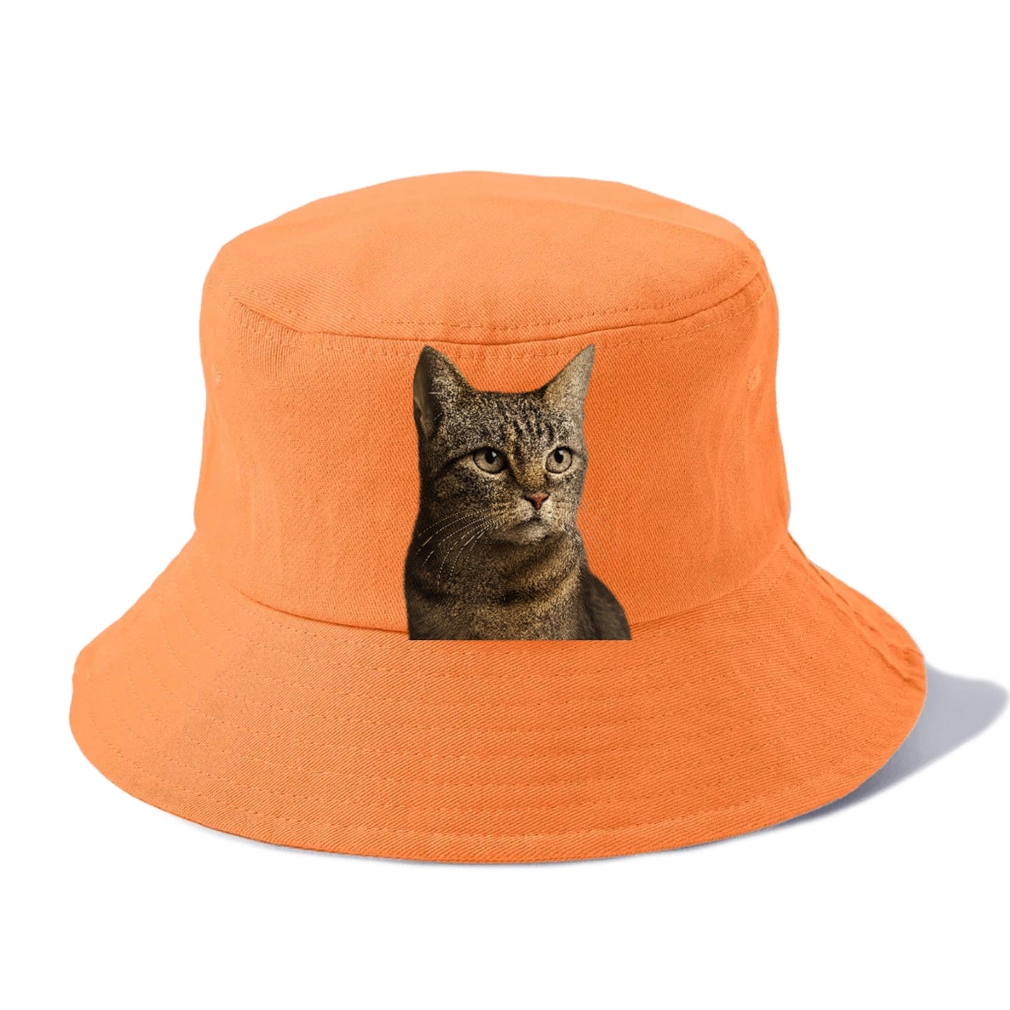 stray-cat-resilient-spirit Hat