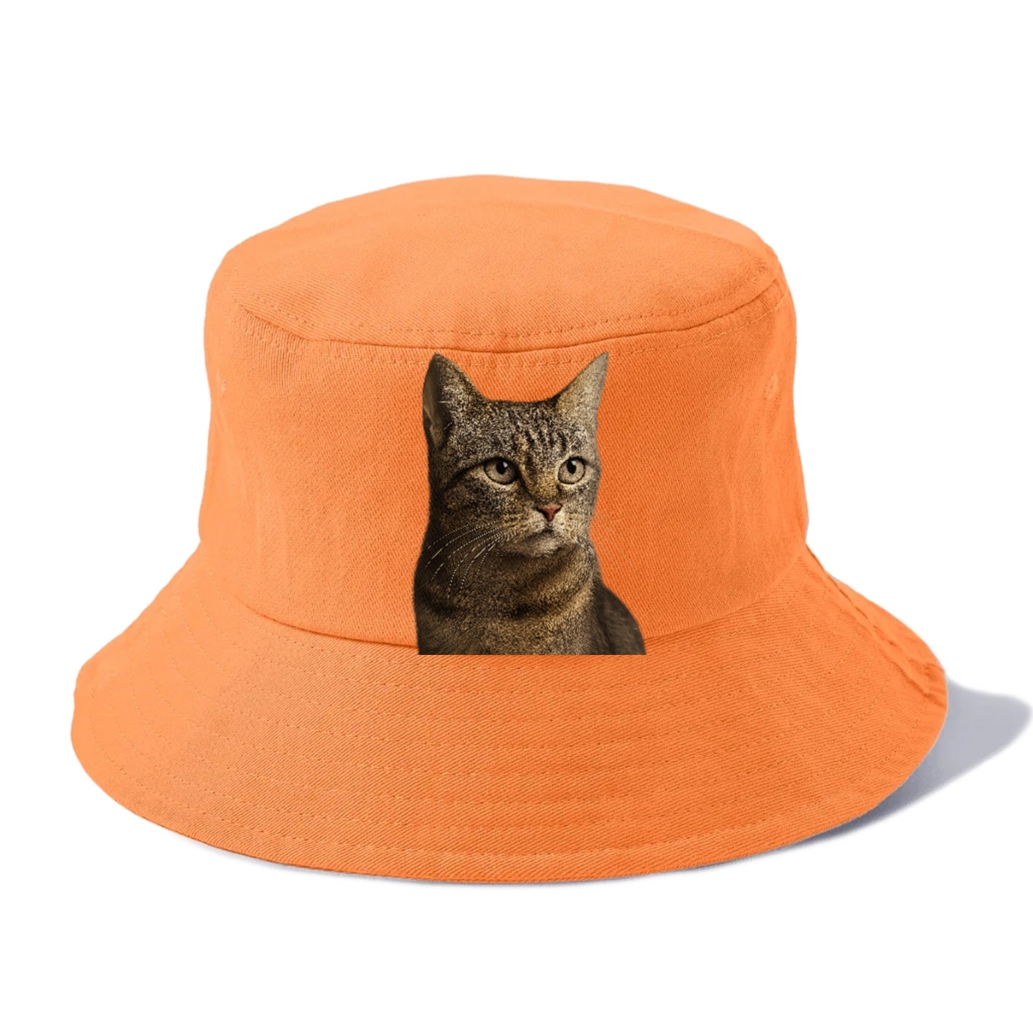 stray-cat-resilient-spirit Hat