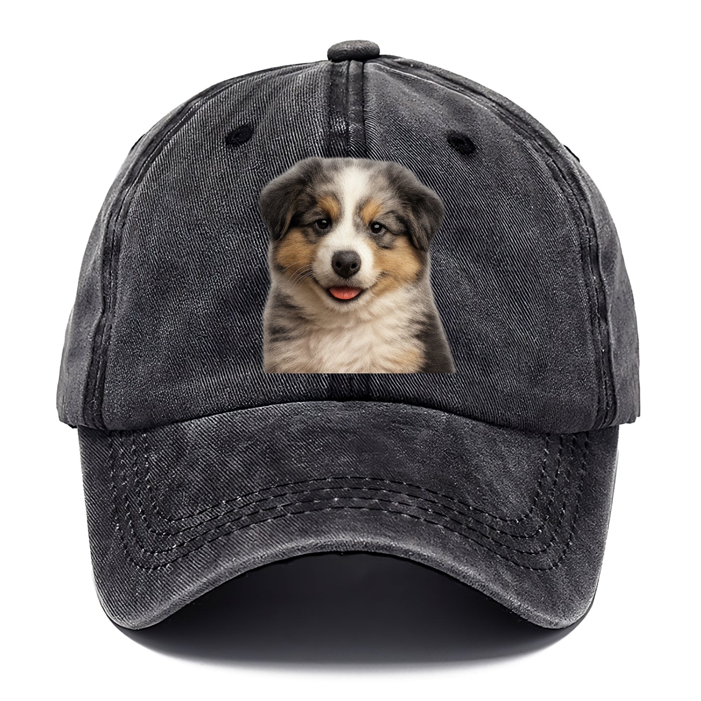 australian shepherd puppy portrait design Hat