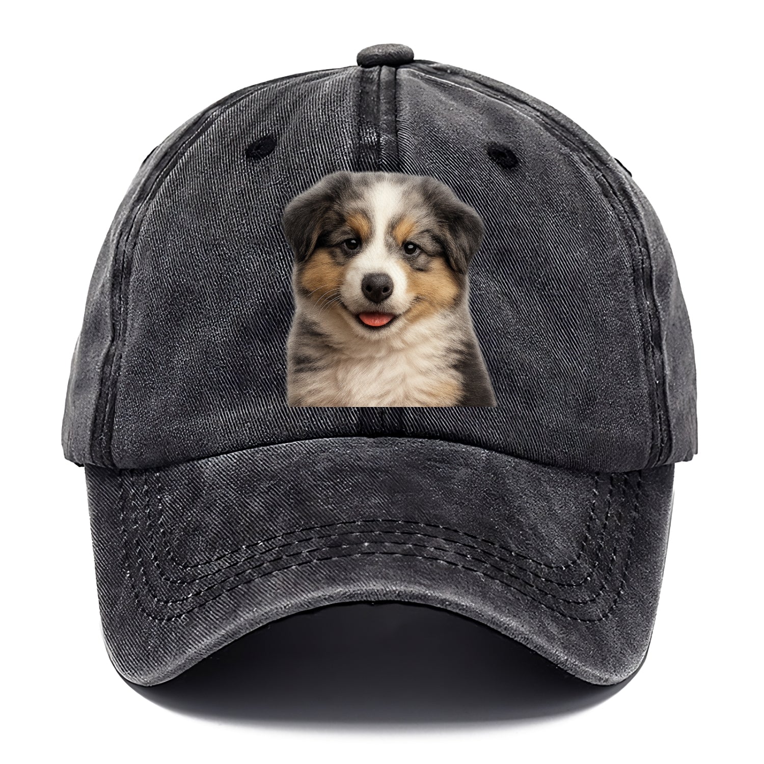australian shepherd puppy portrait design Hat
