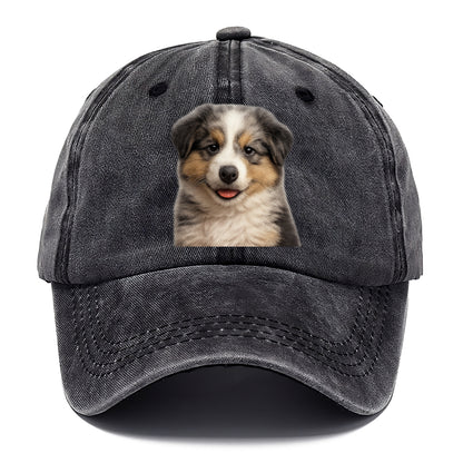 australian shepherd puppy portrait design Hat