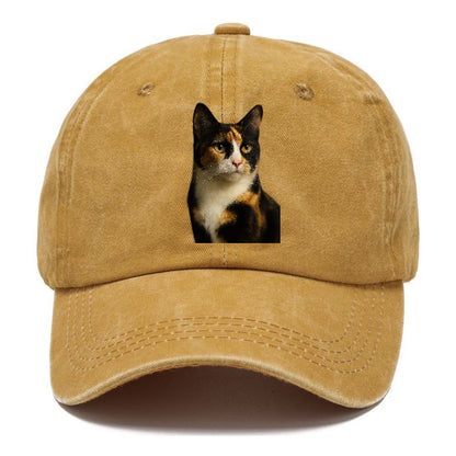 calico-mix-vibrant-spirit Hat