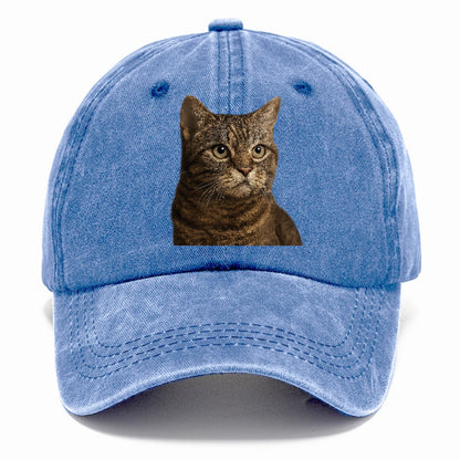 american-wirehair-textured-charm Hat