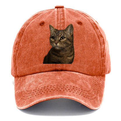 munchkin-cat-charming-spirit Hat