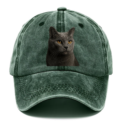 chartreux-quiet-grace Hat