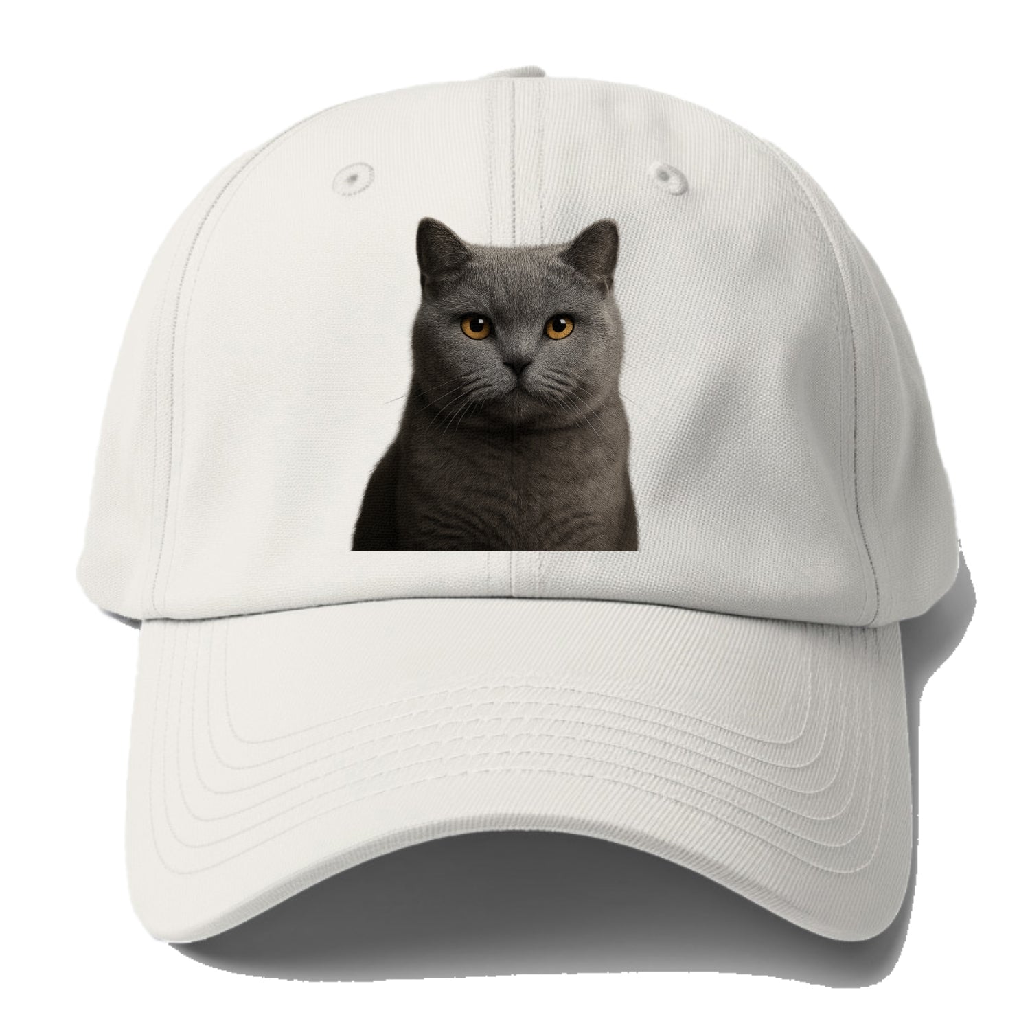 british shorthair dignified charm Hat