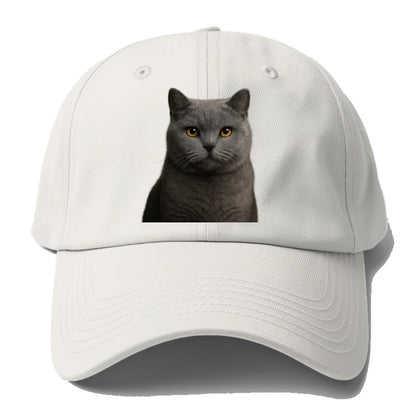 british shorthair dignified charm Hat