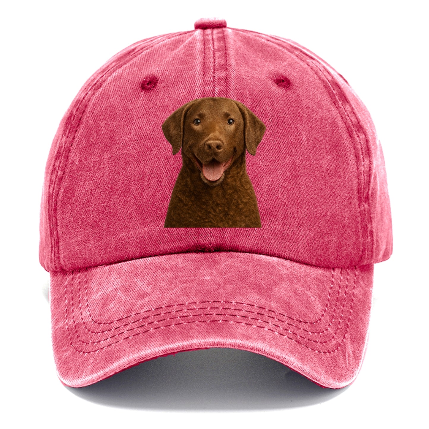 chesapeake bay retriever: rugged waterdog spirit Hat