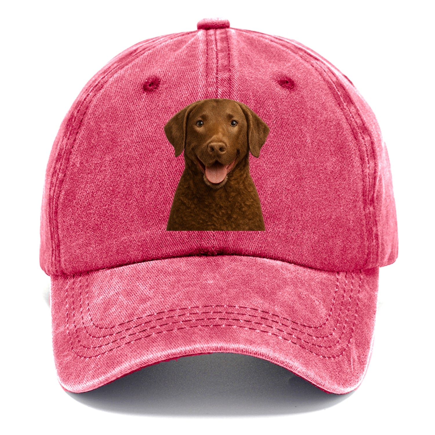 chesapeake bay retriever: rugged waterdog spirit Hat