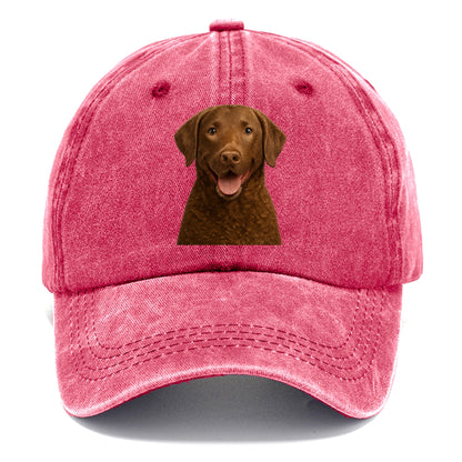 chesapeake bay retriever: rugged waterdog spirit Hat