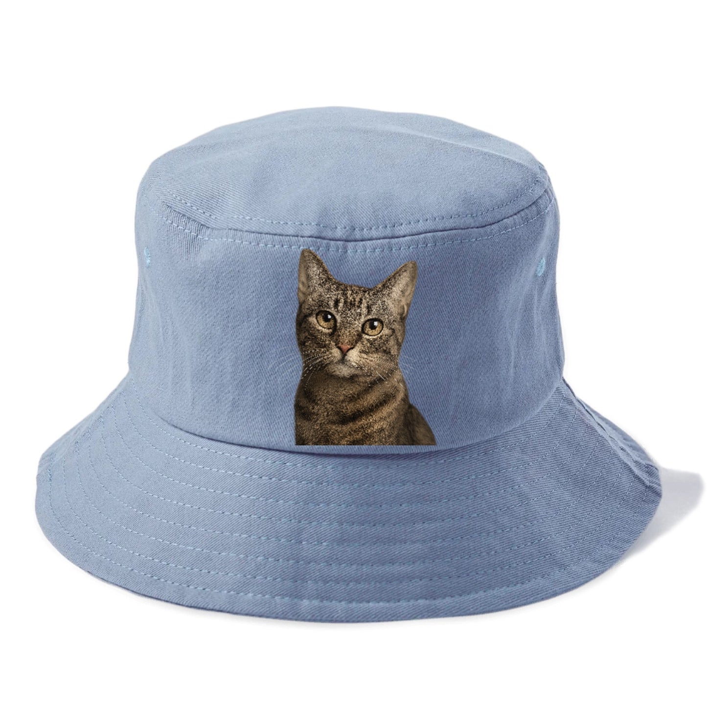 curious-cat-inquisitive-nature Hat