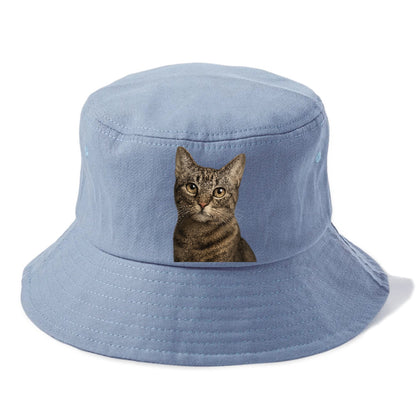 curious-cat-inquisitive-nature Hat