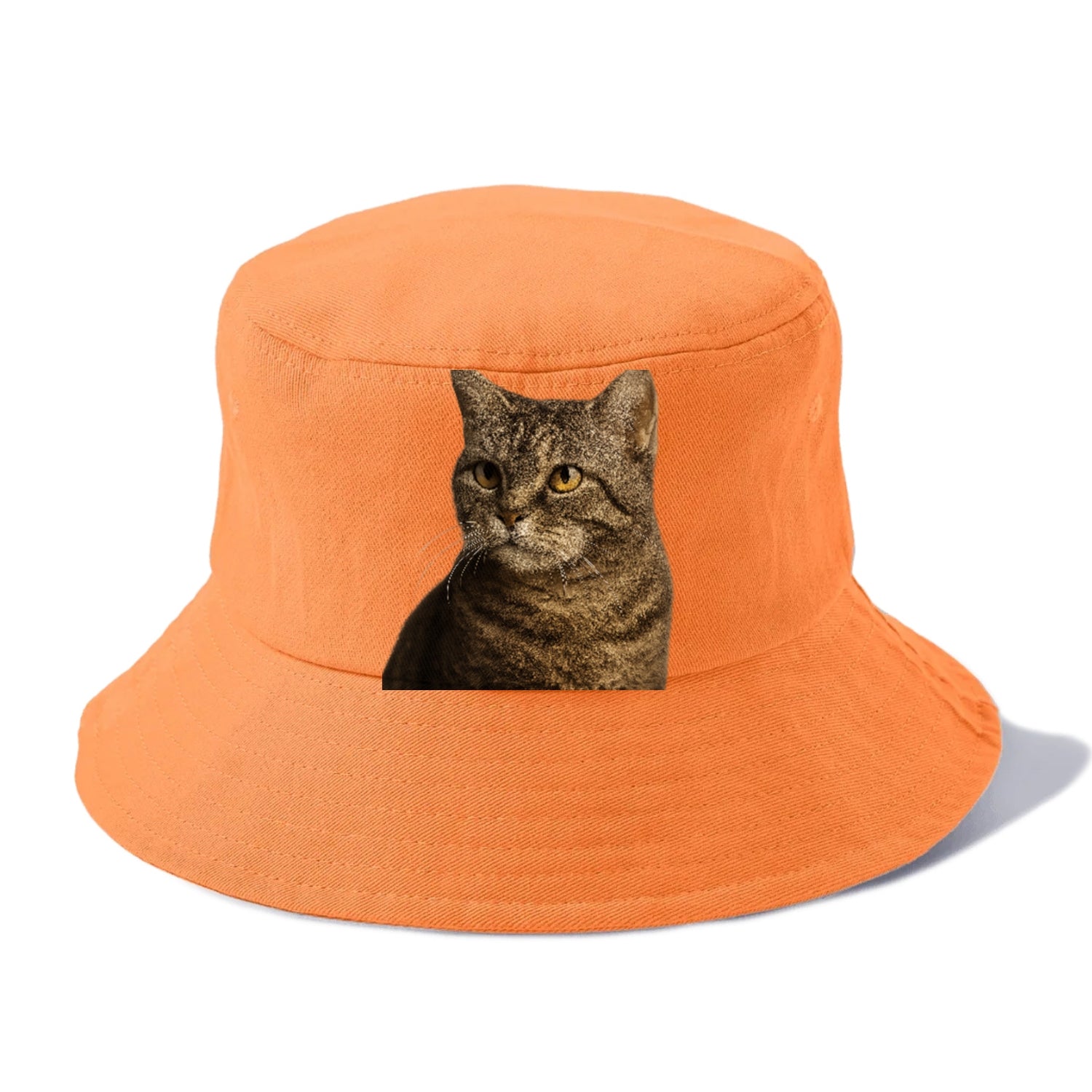 american-wirehair-unique-texture Hat