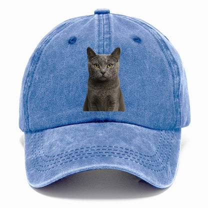 gray-cat-mysterious-charm Hat