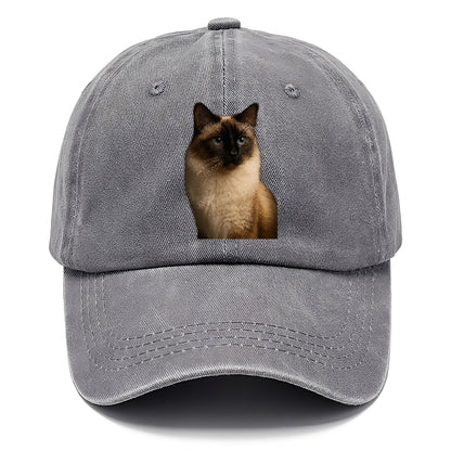 birman-gentle-charm Hat