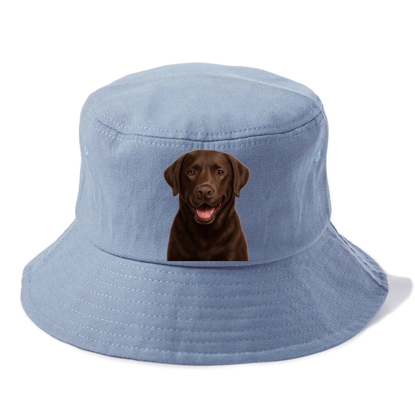 labrador friendly family Hat