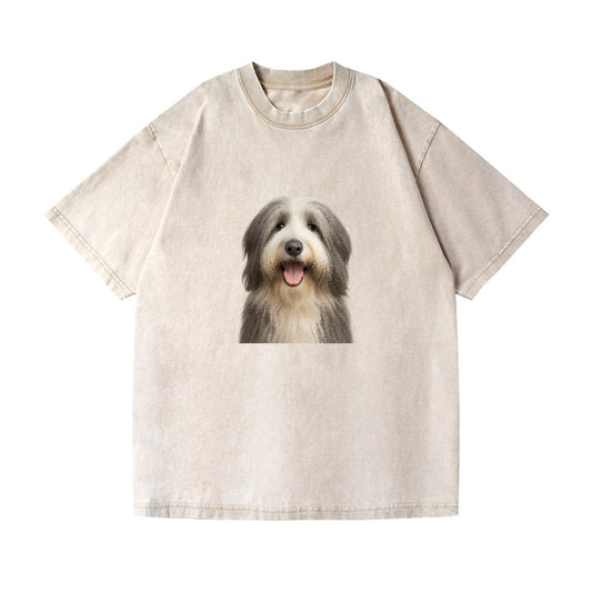 bearded collie: whimsical wanderer Hat