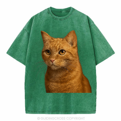 ginger-cat-playful-spirit Hat