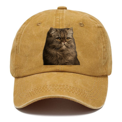 persian-regal-majesty Hat