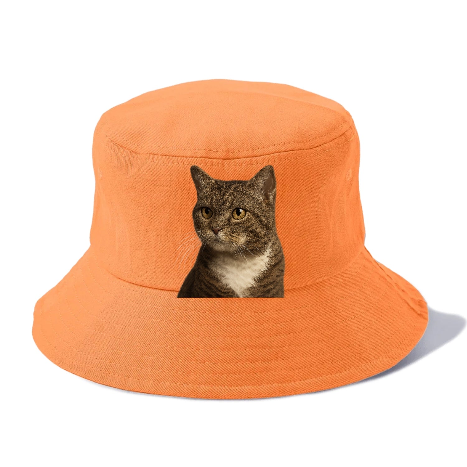 american-wirehair-unique-charm Hat