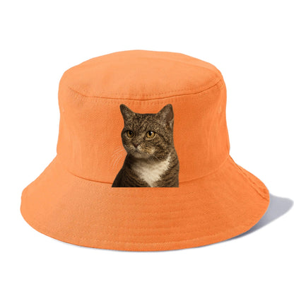 american-wirehair-unique-charm Hat