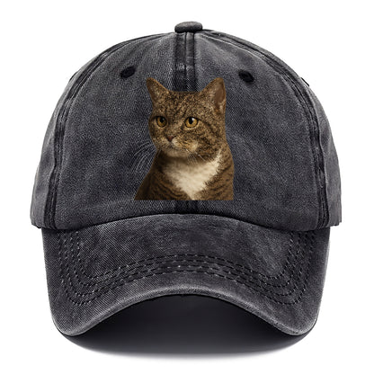 american-wirehair-unique-charm Hat