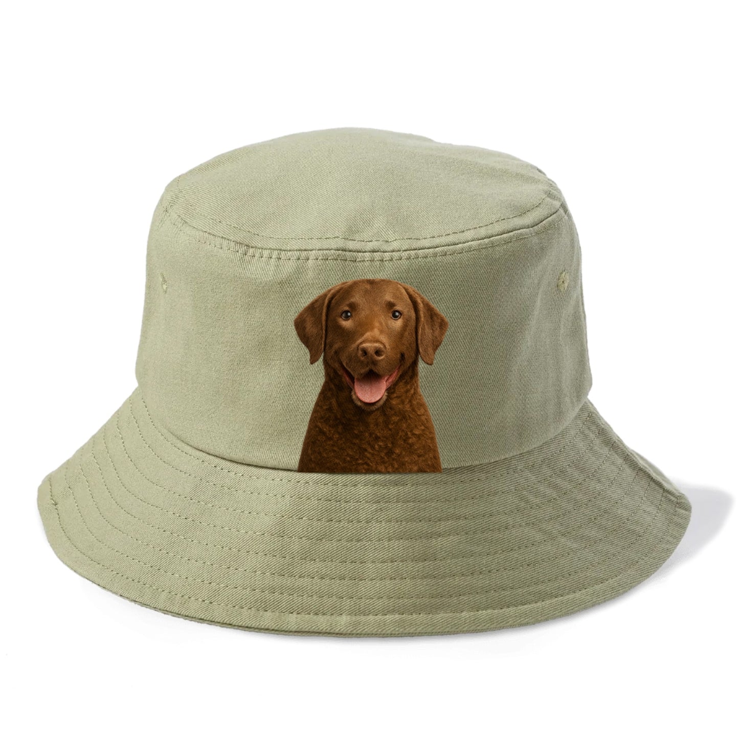 chesapeake bay retriever: rugged waterdog spirit Hat