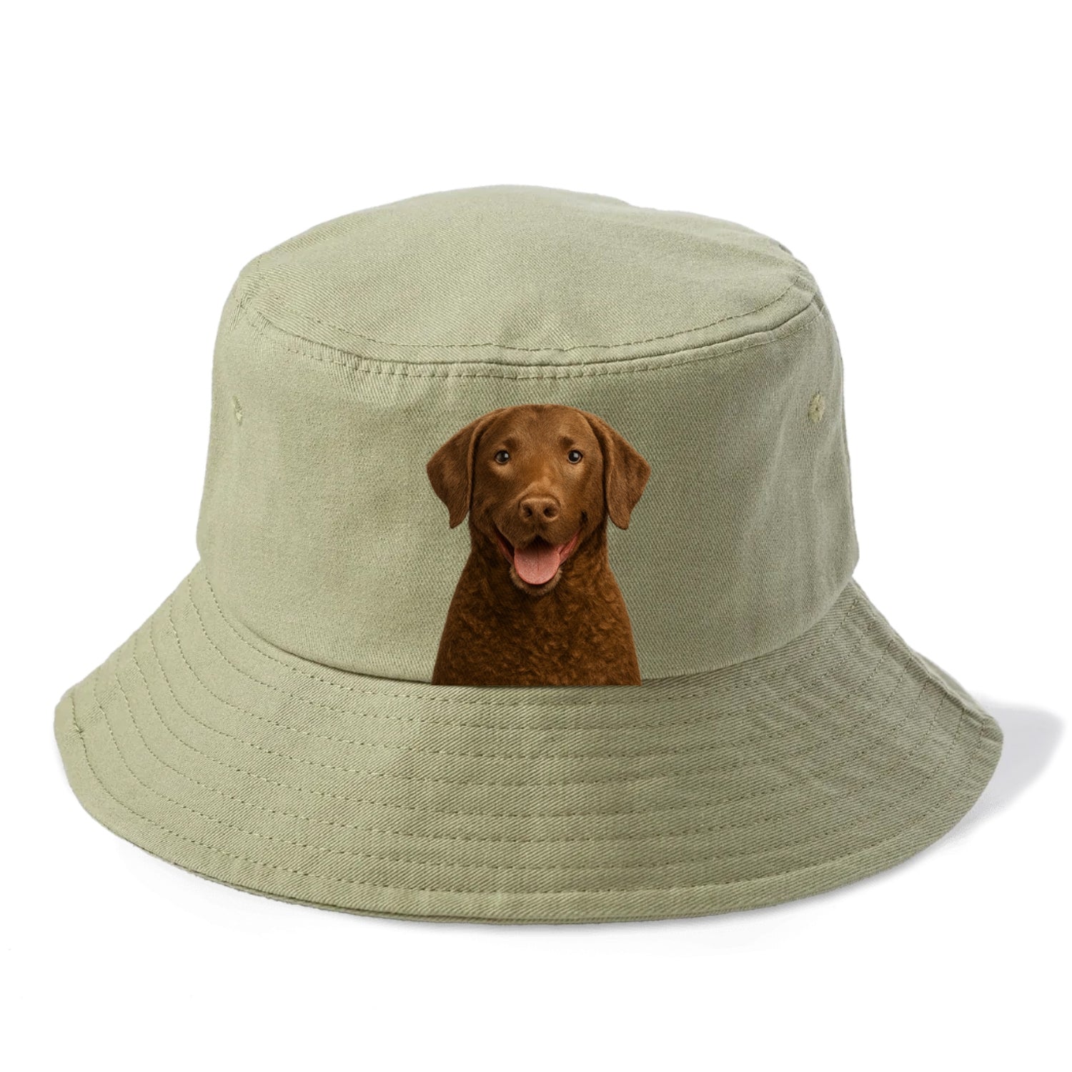chesapeake bay retriever: rugged waterdog spirit Hat