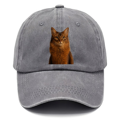 somali-cat-agile-grace Hat