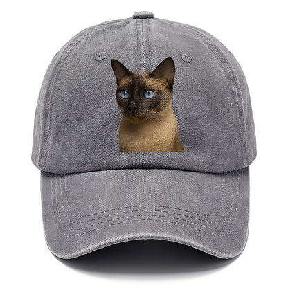 tonkinese-elegant-feline-charm Hat