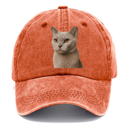 lilac-cat-playful-spirit Hat