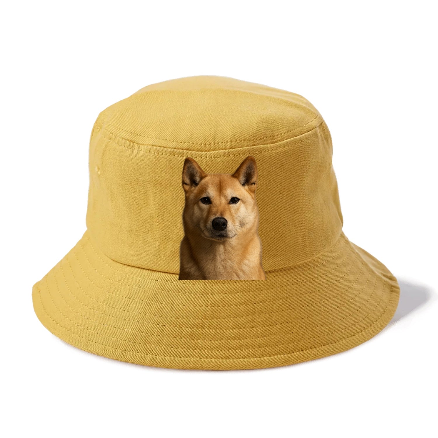 guardian Hat