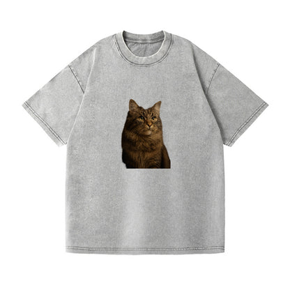 regal-cymric-charm Hat