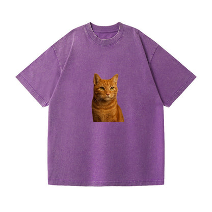 orange-tabby-cozy-companion Hat