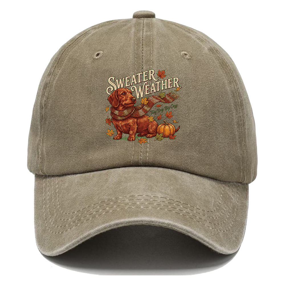 Sweater Weather Dachshund Classic Cap
