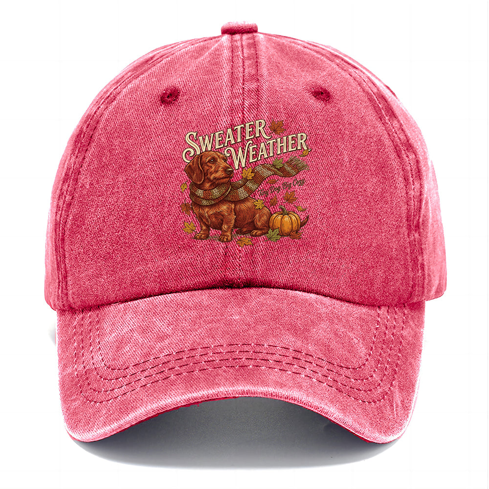 Sweater Weather Dachshund Classic Cap