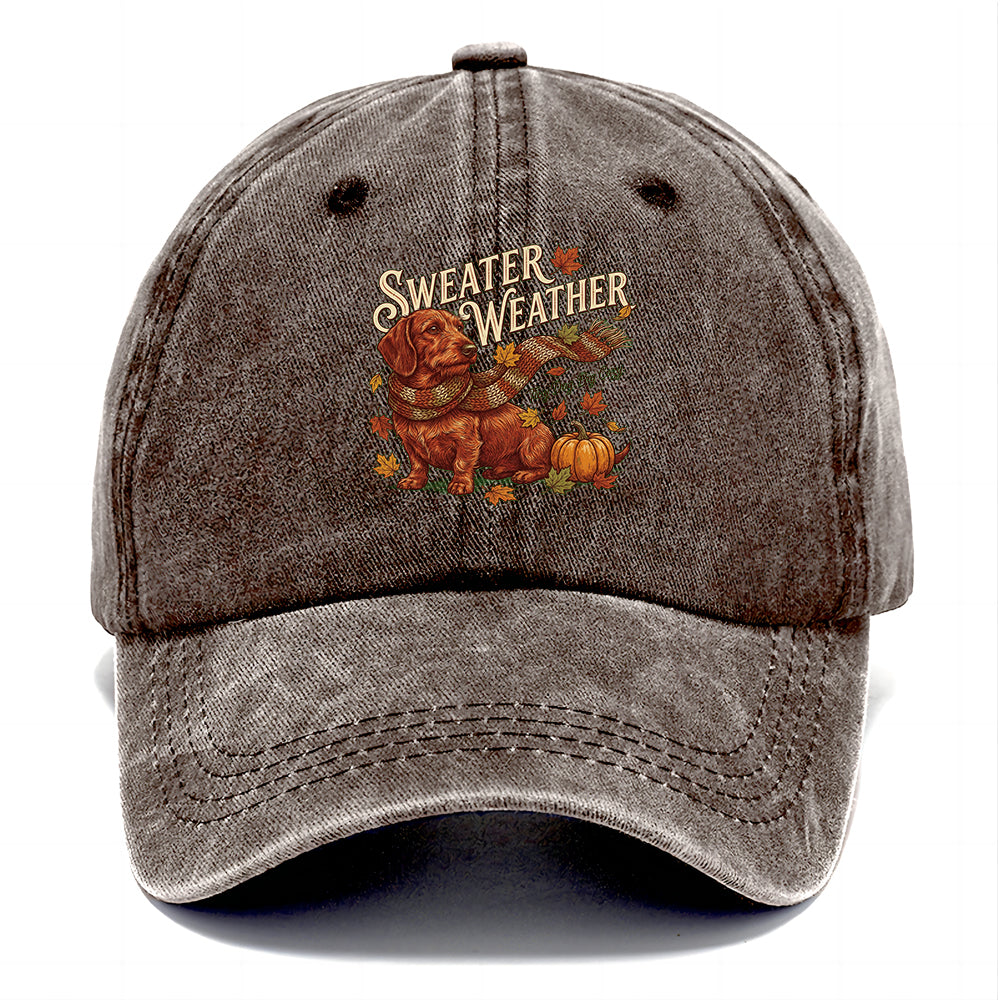 Sweater Weather Dachshund Classic Cap