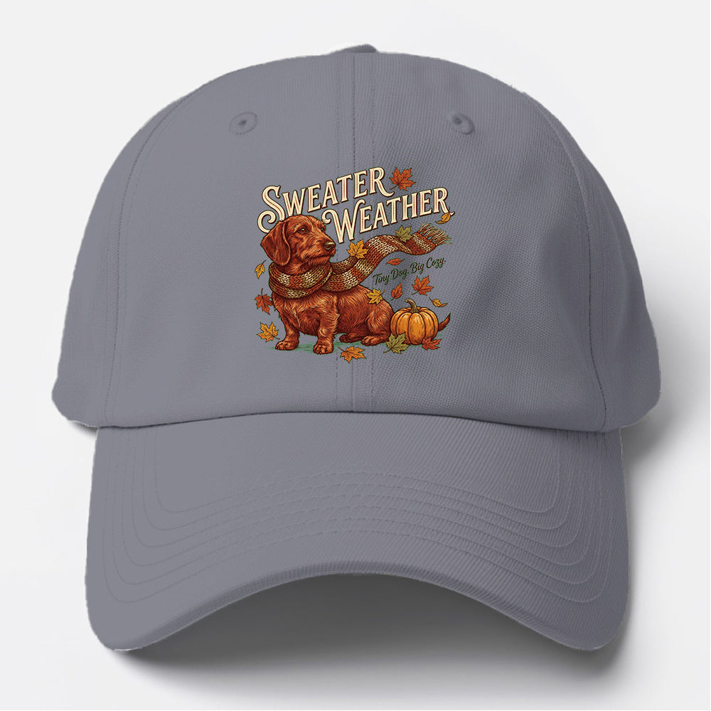 Sweater Weather Dachshund Baseball Cap