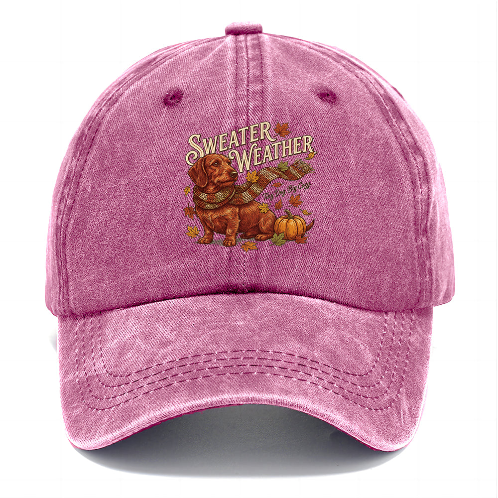 Sweater Weather Dachshund Classic Cap