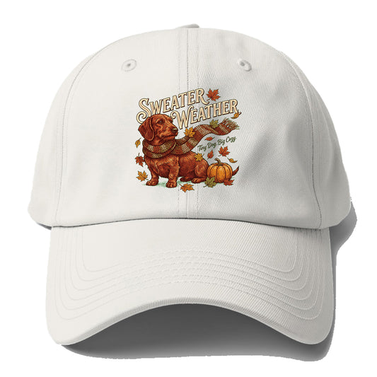 Sweater Weather Dachshund Baseball Cap