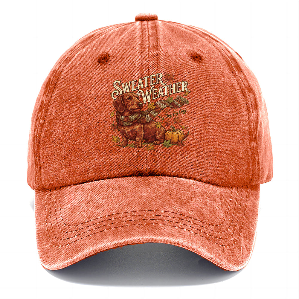 Sweater Weather Dachshund Classic Cap