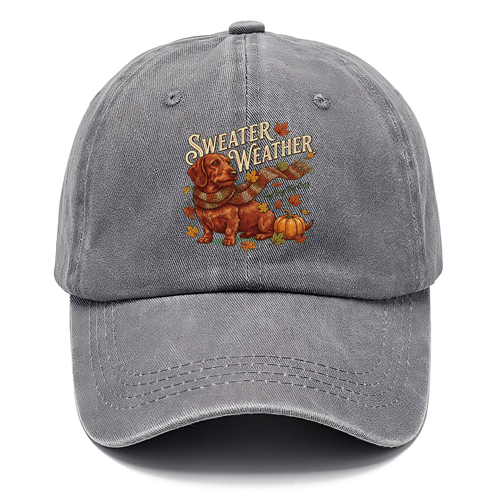 Sweater Weather Dachshund Classic Cap