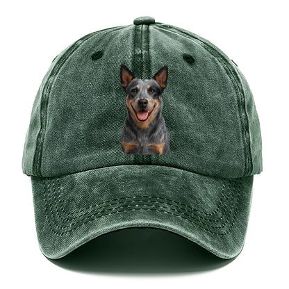 blue heeler agile herder Hat