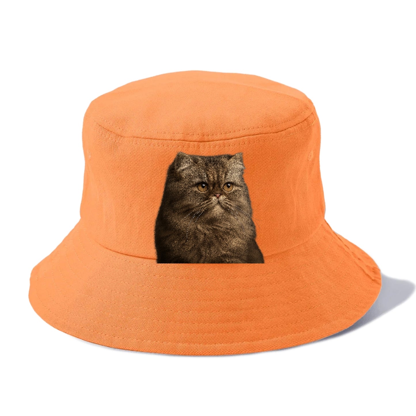 persian-regal-majesty Hat