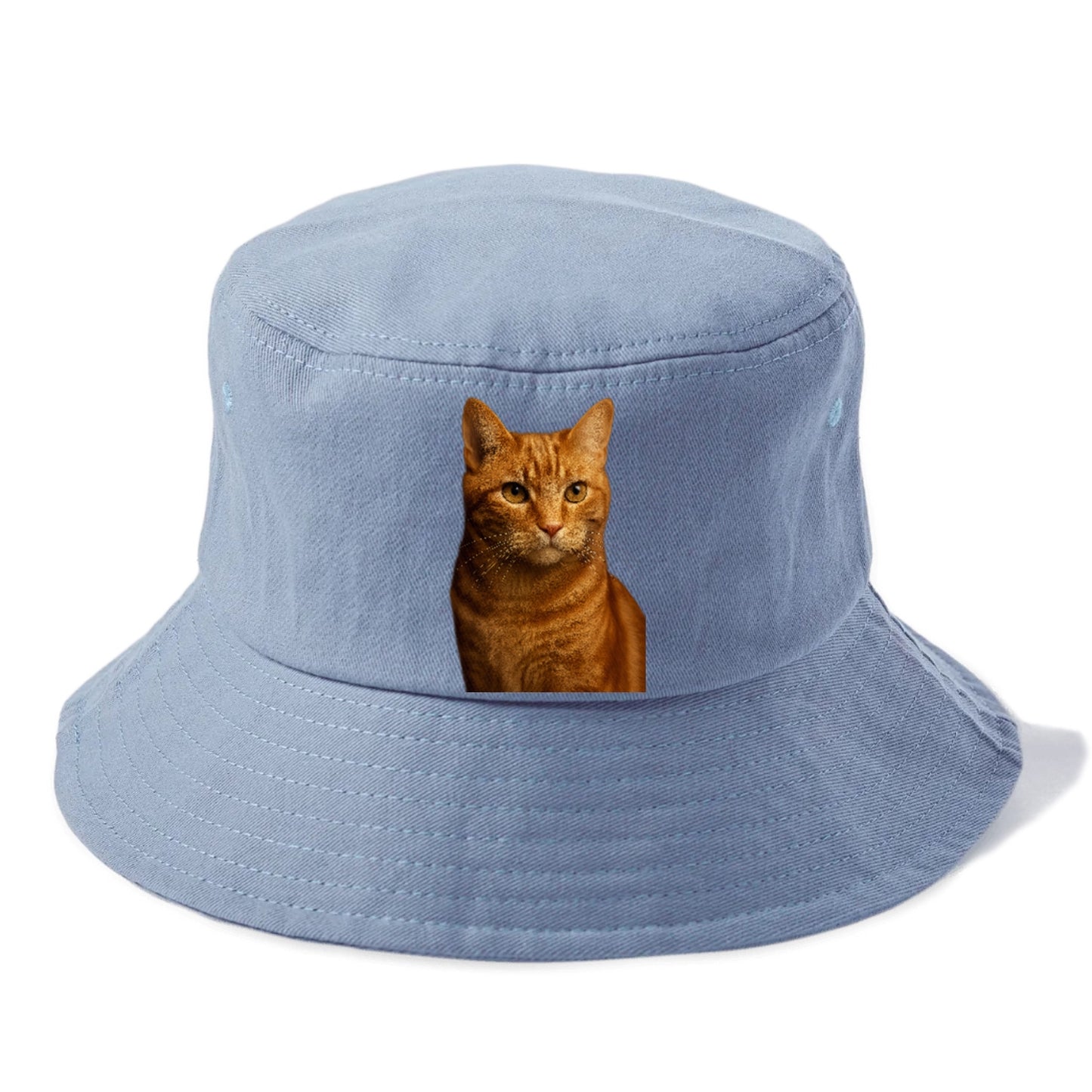 orange-tabby-playful-purr Hat