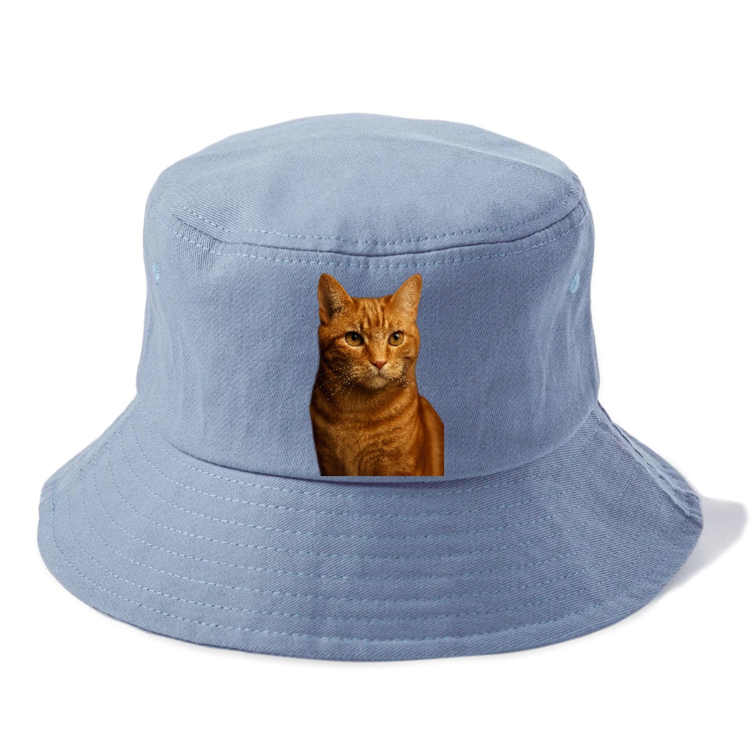 orange-tabby-playful-purr Hat