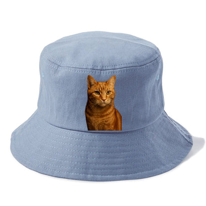 orange-tabby-playful-purr Hat