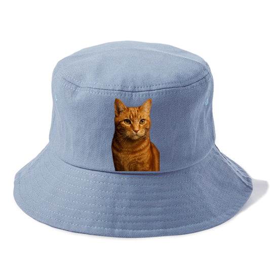 orange-tabby-playful-purr Hat